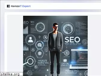 www.hamzaitexpert.com